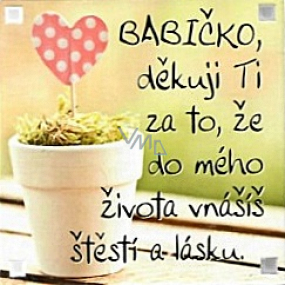 Albi Magnet Babičko, děkuji Ti za to, že do mého života vnášíš štěstí a lásku 6,5 x 6,5 cm