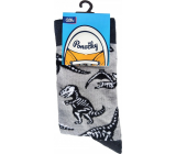 Albi Barevné ponožky univerzální velikost Dinosauři 1 pár