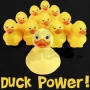 Duck Power dezinfekční Wc tekutý čistič 750 ml