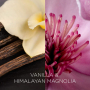 Air Wick Botanica Vanilka a himalájská magnolie vonná svíčka sklo, doba hoření až 40 hodin 205 g
