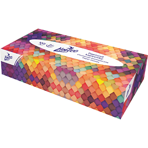 Linteo 2vrstvé papírové kapesníky, box 100 ks