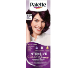 Schwarzkopf Palette Intensive Color Creme barva na vlasy 6-99 Intenzivní fialový