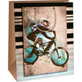 Ditipo Dárková papírová taška 26,4 x 13,7 x 32,4 cm hnědá cyklista