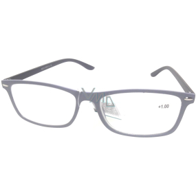Berkeley Čtecí dioptrické brýle +1,0 šedé, černé stranice 1 kus MC2 ER2135