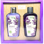 Bohemia Gifts Levandule sprchový gel 250 ml + vlasový šampon 250 ml, kosmetická sada