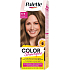 Palette Color Shampoo barva na vlasy 6-5 Oříškově plavá, 50 ml