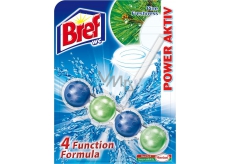 Bref Power Aktiv 4 Formula Borovice Freshness WC blok pro hygienickou čistotu a svěžest Vaší toalety, zbarvuje vodu 51 g