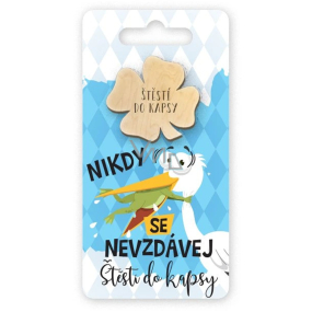 Nekupto Kapesní objetí Čtyřlístek Nikdy se nevzdávej, štěstí do kapsy 6 x 12 cm
