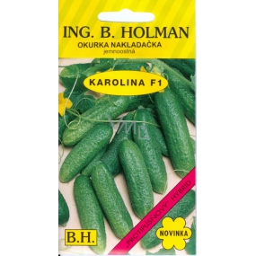 Holman F1 Karolína okurky nakladačky 2 g