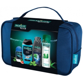 Palmolive Men Sport deodorant anti-perspirant roll-on 50 ml + Sport 3 v 1 sprchový gel 250 ml + Ivigorating šampon 350 ml + Sensitive pěna na holení 300 ml + etue, kosmetická sada