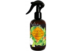 Ryor Hair Care urychlovač růstu vlasů 3 měsíční kúra sprej 250 ml