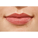 Catrice Lip Dresser Shine Stylo rtěnka 020 When The Sun Goes Brown 1,4 g