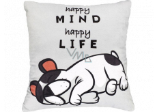 Albi Humorný polštář velký Happy Mind 36 x 30 cm