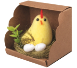 Slepička žlutá v hnízdě s vajíčky 7 cm