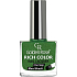 Golden Rose Rich Color Nail Lacquer lak na nehty 110 10,5 ml