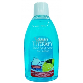 Dalan Therapy Antibacterial & Odor Neutralizer antibakteriální tekuté mýdlo 750 ml