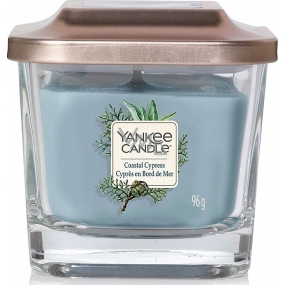 Yankee Candle Coastal Cypress - Pobřežní cypřiš sojová vonná svíčka Elevation malá sklo 1 knot 96 g