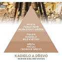 Millefiori Milano Natural Incense & Blond Woods - Kadidlo a Světlá dřeva Náplň difuzéru pro vonná stébla 250 ml