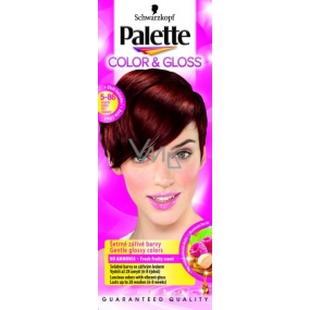 Schwarzkopf Palette Color & Gloss barva na vlasy 5 - 86 Pikantní skořice