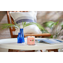 Yankee Candle Tropical Breeze - Tropický vánek vonná svíčka Signature střední sklo 2 knoty 368 g