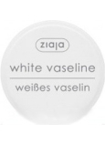 Ziaja Kosmetická vazelína pro všechny druhy pleti 30 ml