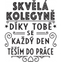 Albi Šperkovnice s věnováním Kolegyně 10 x 8 x 5 cm