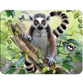 Prime3D magnet - Lemur 9 x 7 cm