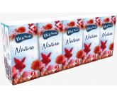 Big Soft Natura papírové kapesníky 3 vrstvé 10 x 10 kusů