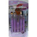 EBM Exmon Cosmetic Brush sada kosmetických štětců 5 kusů BC 291