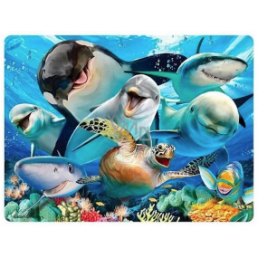 Prime3D pohlednice - Selfie pod vodou 16 x 12 cm