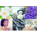 Yankee Candle Soft Wool & Amber - Jemná vlna a ambra vonná svíčka votivní ve skle 3 x 37 g, dárková sada