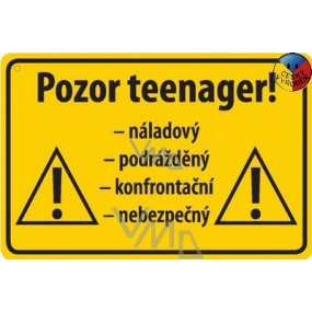 Nekupto Humorná cedulka Pozor teenager! 15x10 cm 1 kus