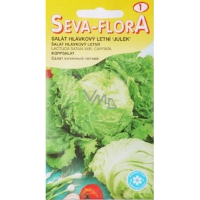 Seva - Flora Salát hlávkový letní Julek 0,5 g