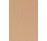 Ditipo Dárkový balicí papír 70 x 300 cm Vánoční bez potisku