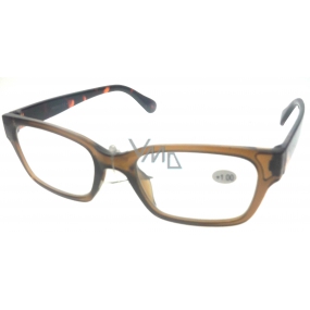 Berkeley Čtecí dioptrické brýle +2,0 plast hnědé 1 kus ER4198