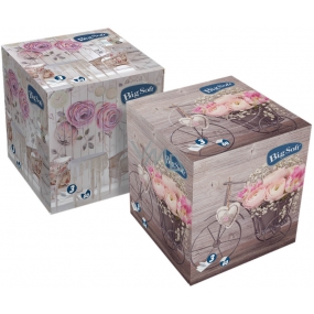 Big Soft Kosmetické ubrousky papírové 3 vrstvé box 60 kusů