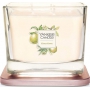 Yankee Candle Citrus Grove - Citrusový háj sojová vonná svíčka Elevation střední sklo 3 knoty 347 g