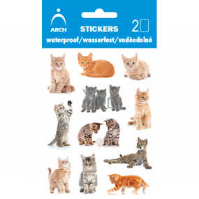 Arch Voděodolné dekorační samolepky Kočičky 9,5 x 6,5 cm