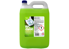 Lavon Easy Clean Fresh Pine WC gel 5 l