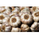 AgroBio® Zdravý česnek AgroBio® Zdravý česnek