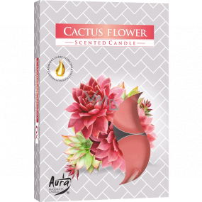 Bispol Aura Cactus Flower - Květ kaktusu vonné čajové svíčky 6 kusů