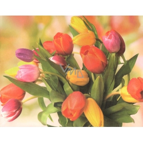Nekupto Dárková kraftová taška 23 x 18 x 10 cm tulipány