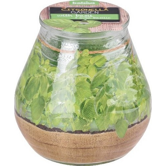 Bolsius Citronella vonná svíčka sklo Bazalka 90 x 94 mm