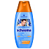 Schauma for Men Aktivující s kofeinem pro sílu a objem šampon na vlasy 250 ml