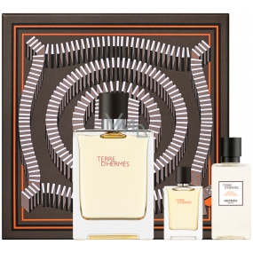 Hermes Terre D Hermes toaletní voda pro muže 100 ml + toaletní voda miniatura 5 ml + voda po holení 40 ml, dárková sada