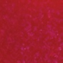 Gabriella Salvete Enamel with Hardener lak na nehty 152 11 ml