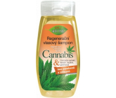 Bione Cosmetics Cannabis regenerační šampon na vlasy 260 ml