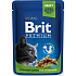 Brit Premium Kuřecí kousky pro kastrované kočky kompletní krmivo kapsička 100 g