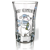 Nekupto Vánoční vtipný panák Nikdy nezamrznem 40 ml