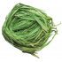Raffia zelená nabarvené lýko k dekoraci 30 g